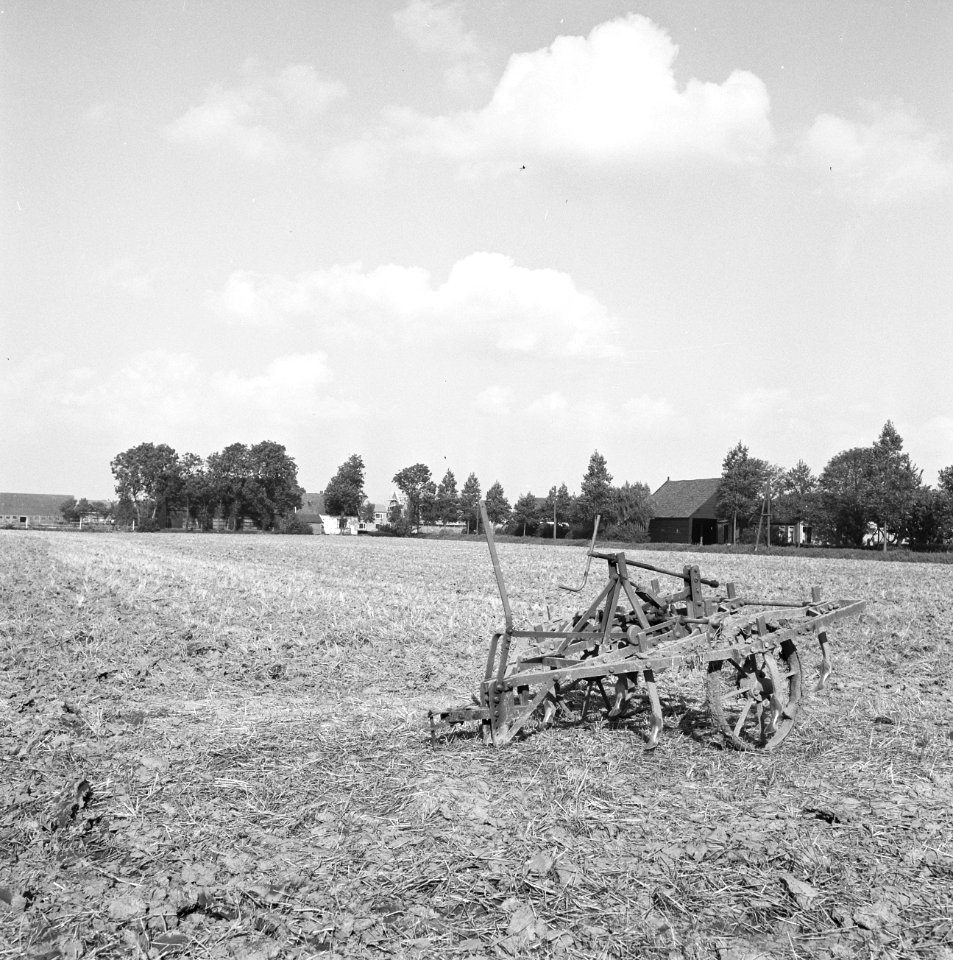 Karakteristieke landschappen, landbouw, Bestanddeelnr 164-0147