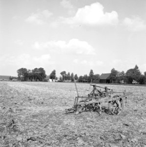 Karakteristieke landschappen, landbouw, Bestanddeelnr 164-0147