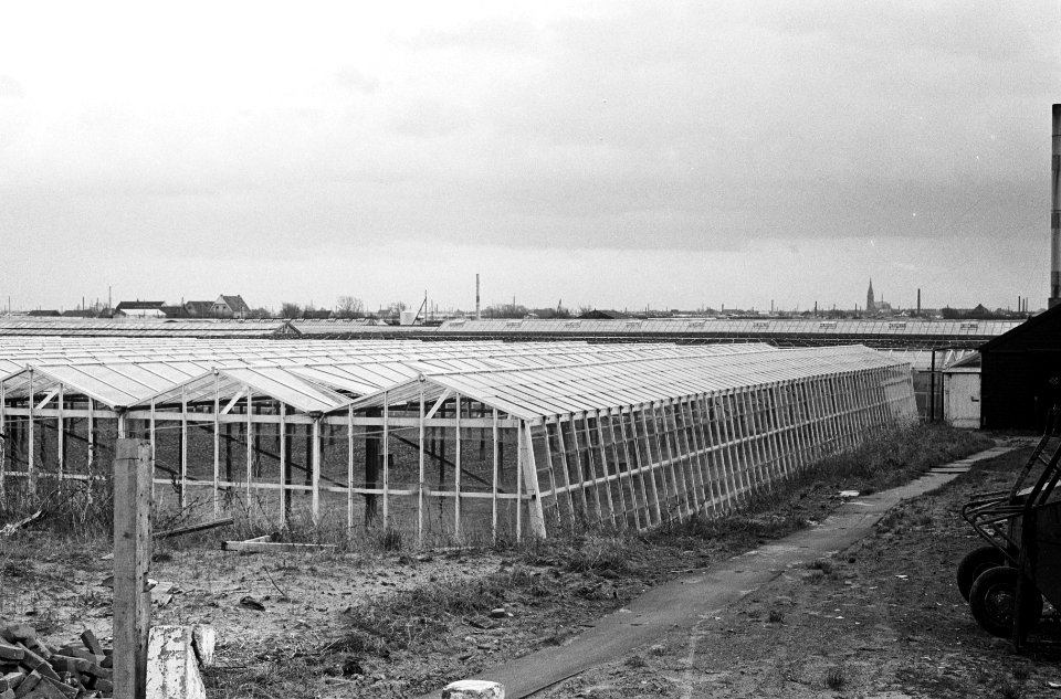 Kassen in het Westland, Bestanddeelnr 915-7352