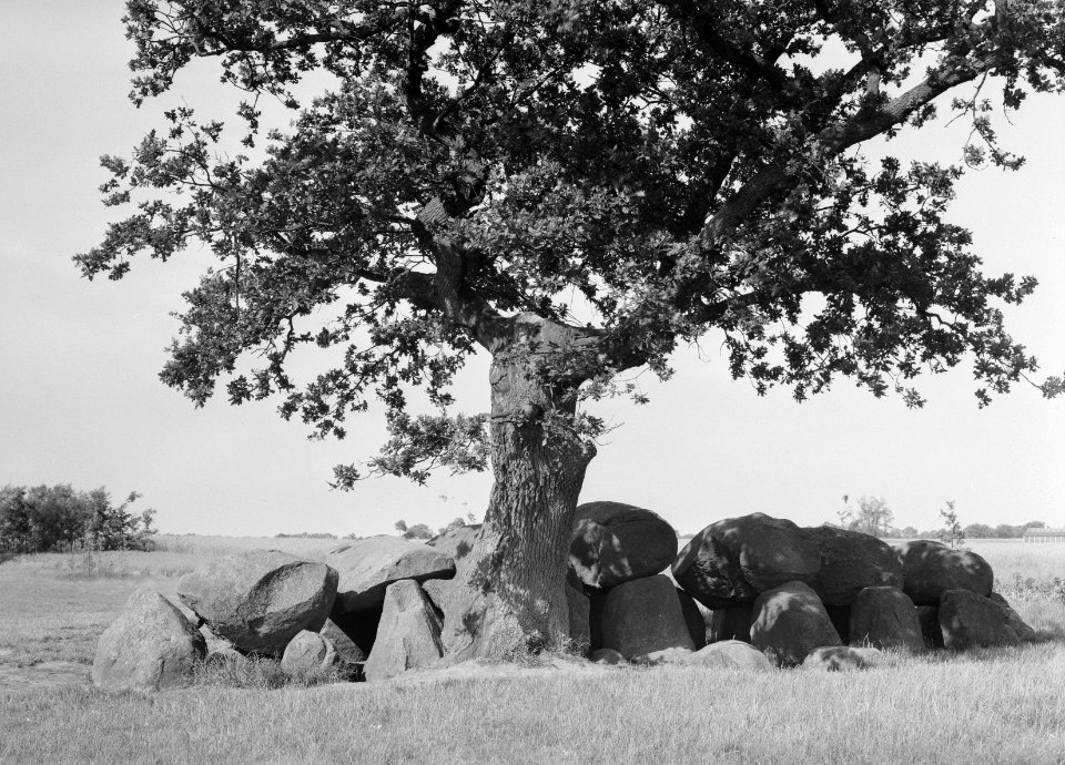 Karakteristieke landschappen, hunebedden, Bestanddeelnr 164-0081