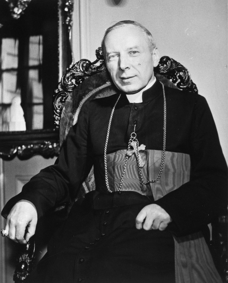 Kardinaal Wyszinsky , primaat van Polen, Bestanddeelnr 912-3378