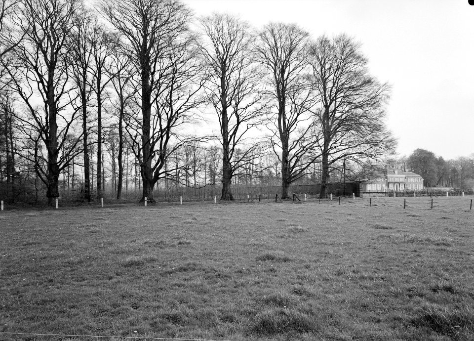 Karakteristieke landschappen, landgoederen, Enghuizen, Rechteren Limpurg, ASH, Bestanddeelnr 164-0264