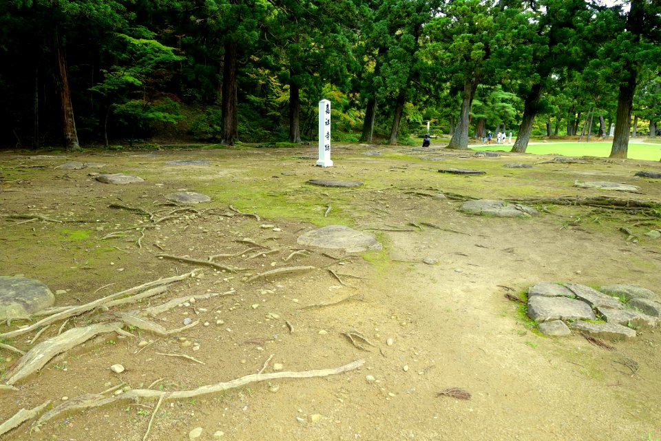 Kasho-ji Temple Site - Motsuji, Hiraizumi, Iwate - DSC04469
