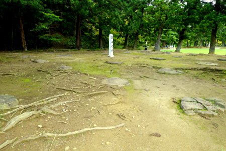 Kasho-ji Temple Site - Motsuji, Hiraizumi, Iwate - DSC04469
