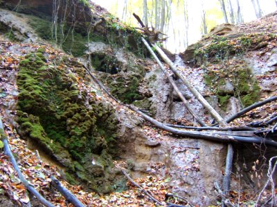 Kaposgyarmat, mésztufa-hasadék