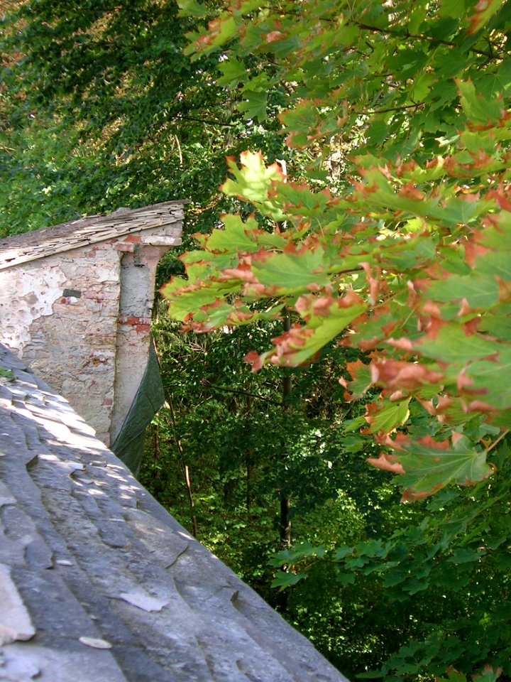 Kapuzinerkloster Eichstätt -Figurennische in Gartenmauer