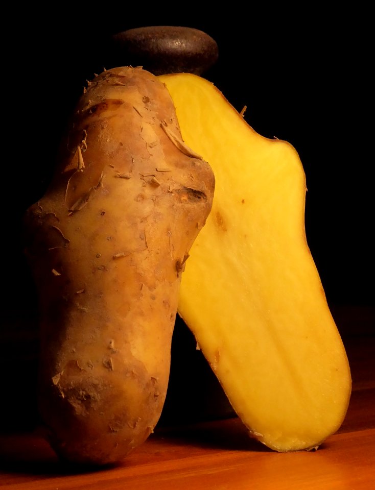 Kartoffelknolle Musica aufgeschnitten