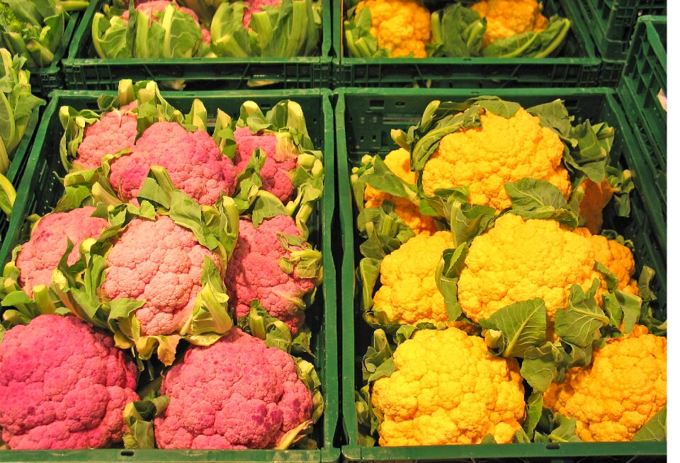 Breeding vegetables healthy