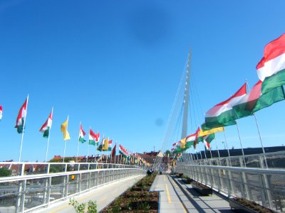 Kaposvári közlekedési központ 15