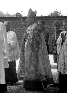 Kardinaal de Jong in een processie over het Martelveld te Den Briel, Bestanddeelnr 902-8359 (cropped)