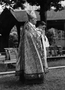 Kardinaal de Jong in de processie ter herdenking van de Martelaren van Gorcum in, Bestanddeelnr 902-8364 (cropped)