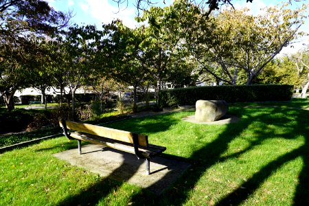 Katherine Mansfield Memorial Park - Park bench and artwork