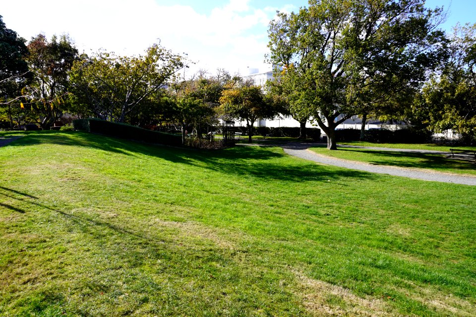 Katherine Mansfield Memorial Park - Open grassy area - 01