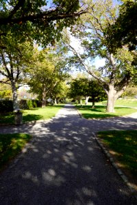 Katherine Mansfield Memorial Park - Path next to Fitzherbert Terrace