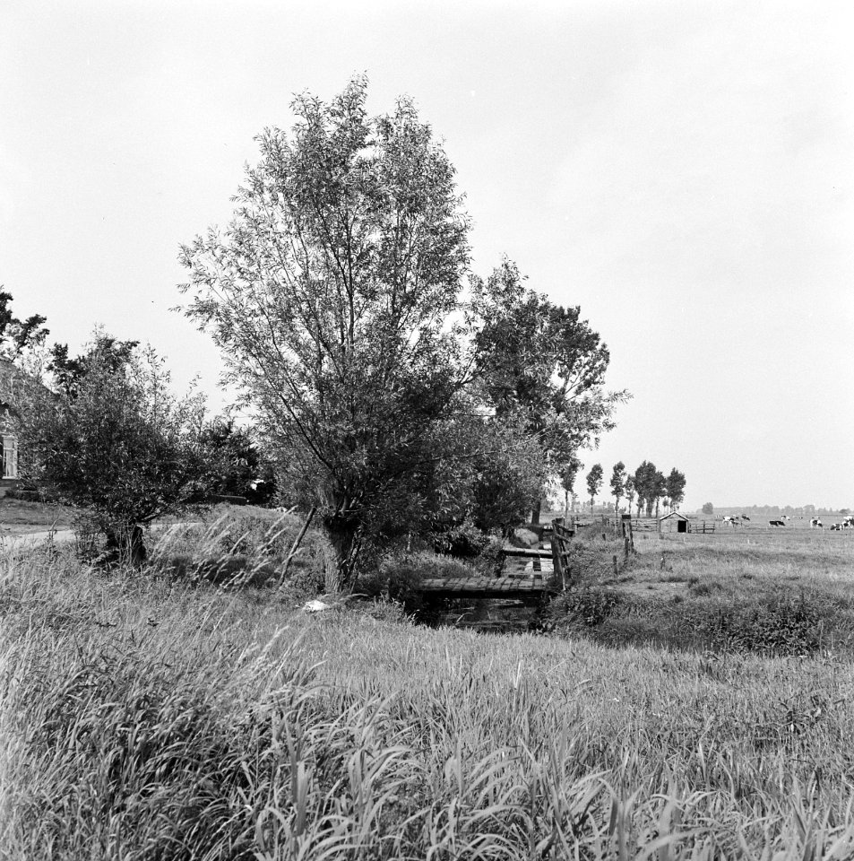 Karakteristieke landschappen, polders, Bestanddeelnr 164-0230