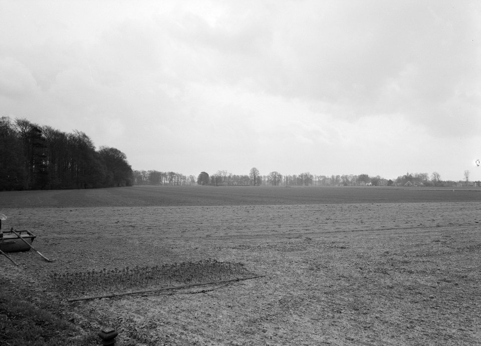 Karakteristieke landschappen, landgoederen, Enghuizen, Rechteren Limpurg, ASH, Bestanddeelnr 164-0266