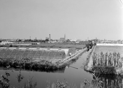 Karakteristieke landschappen, kassen, drainage, Bestanddeelnr 164-0223