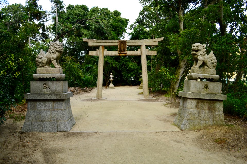 Katanoamatsukami-no-yashiro, torii-1