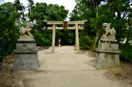 Katanoamatsukami-no-yashiro, torii-1 photo