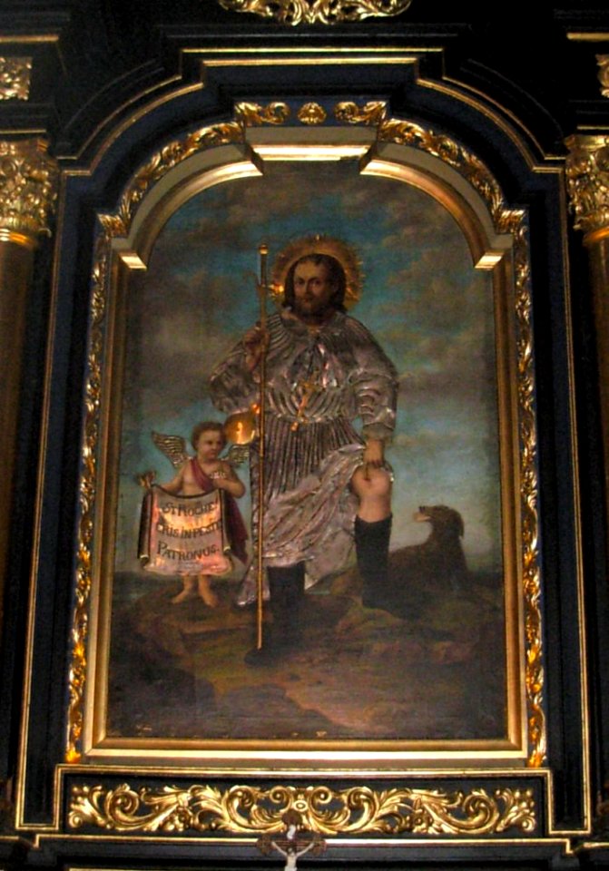 Katedra bydgoska - obraz św Rocha