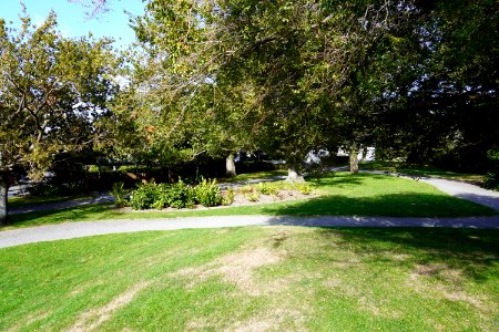 Katherine Mansfield Memorial Park - Park view 3