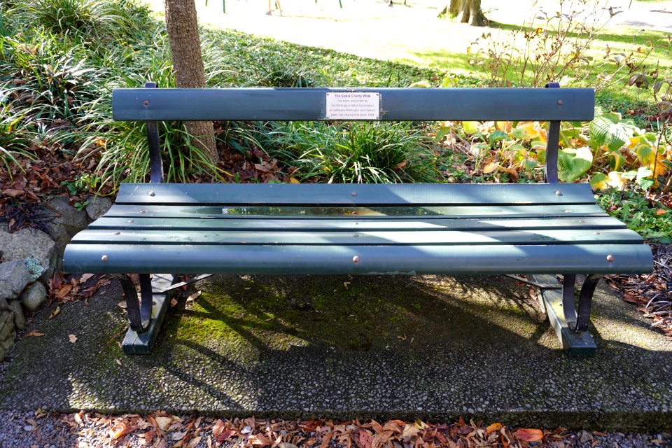 Katherine Mansfield Memorial Park - Park bench (The Sakai Cherry Walk)