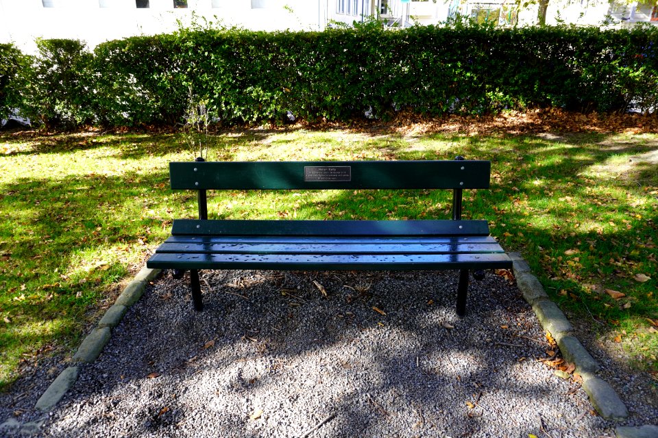 Katherine Mansfield Memorial Park - Park bench (Helen Kelly)