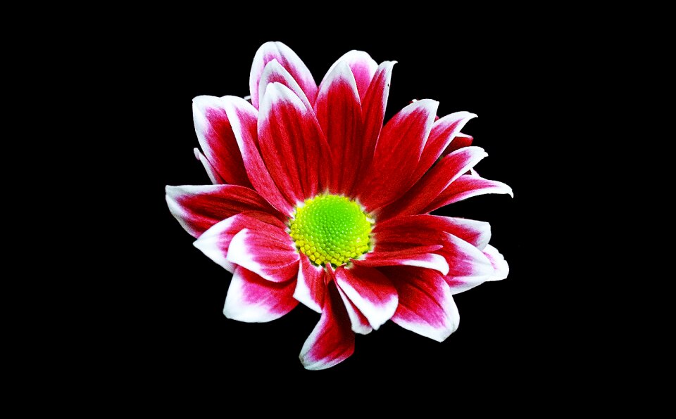 Background spring creative