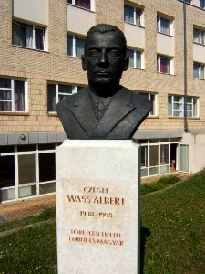 Kaposvár, Wass Albert szobra