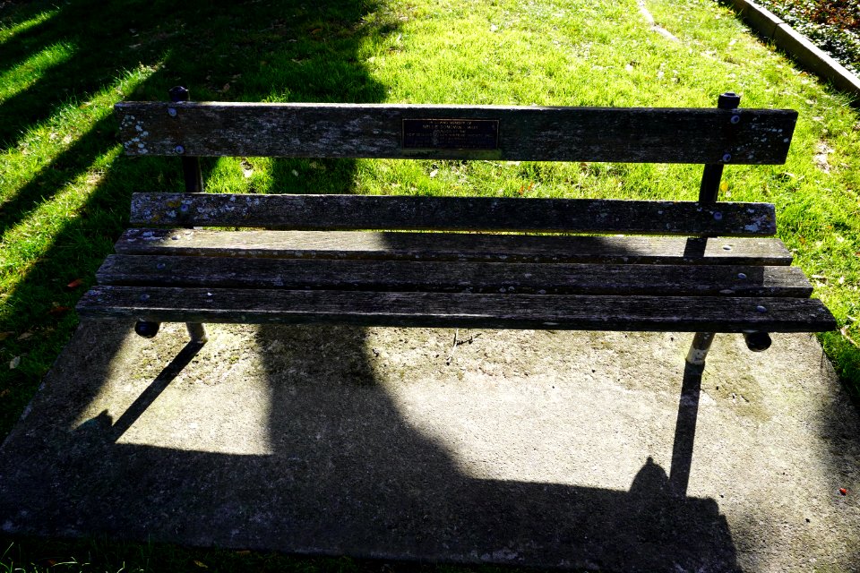 Katherine Mansfield Memorial Park - Park bench (Nellie Donovan-Hair)