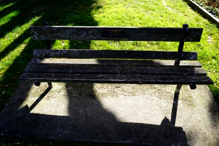 Katherine Mansfield Memorial Park - Park bench (Nellie Donovan-Hair)