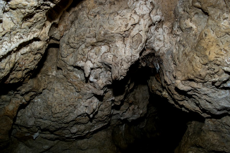 Kastenberghöhle (A 153) 21