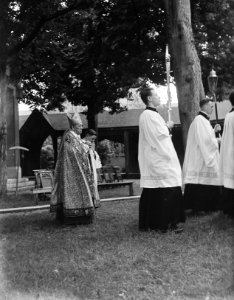 Kardinaal de Jong in de processie ter herdenking van de Martelaren van Gorcum in, Bestanddeelnr 902-8364