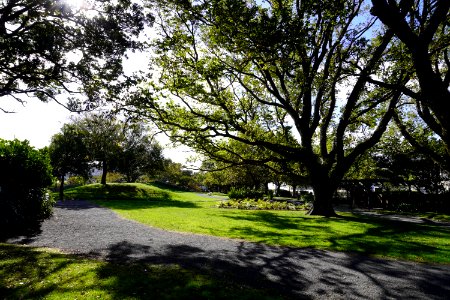 Katherine Mansfield Memorial Park - View of the park 2