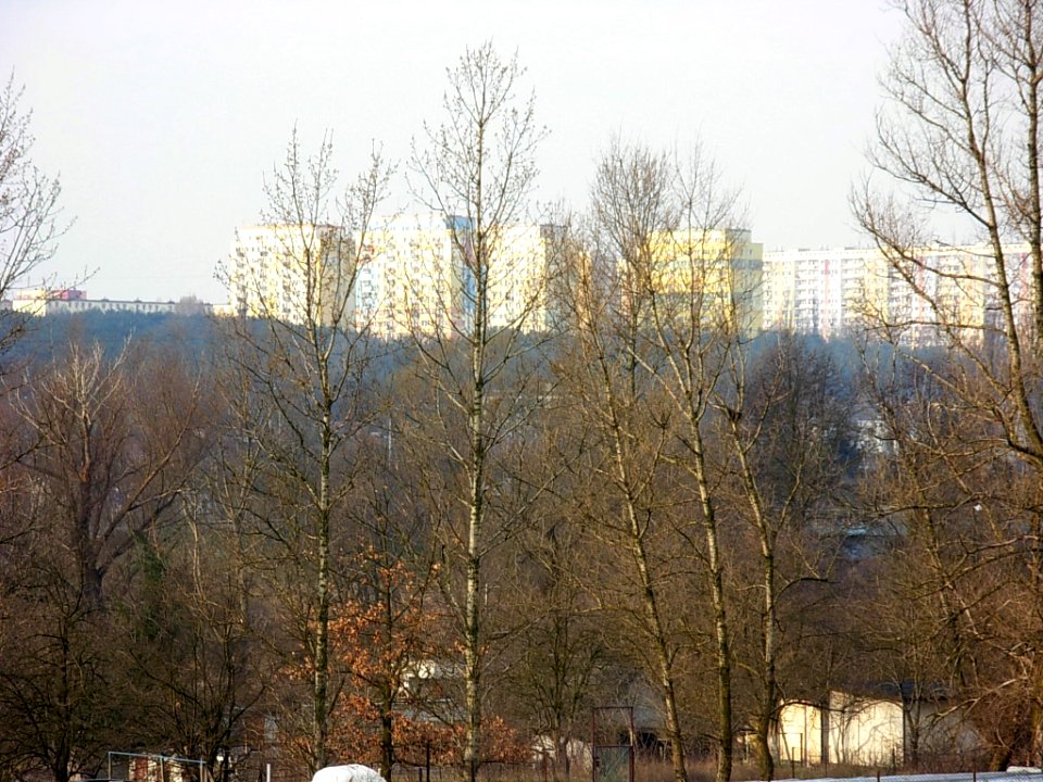 Kapuściska z kartodromu 03-2008