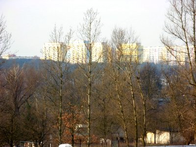 Kapuściska z kartodromu 03-2008