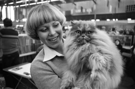 Kat-Expo in Ahoy in Rotterdam een van de deelnemende katten, Bestanddeelnr 929-4853