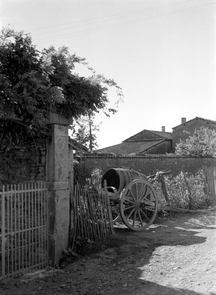 Kar met wijnvat, Bestanddeelnr 252-1834