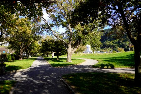 Katherine Mansfield Memorial Park - View of the park