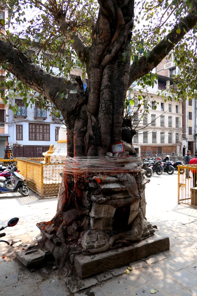 Kathmandu-2019-03-05-05