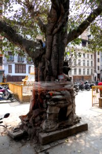 Kathmandu-2019-03-05-05