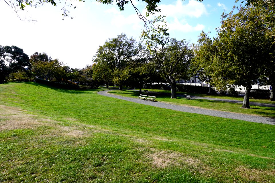 Katherine Mansfield Memorial Park - Open grassy area - 03