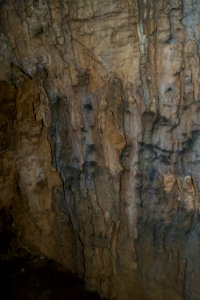 Kastenberghöhle (A 153) 61