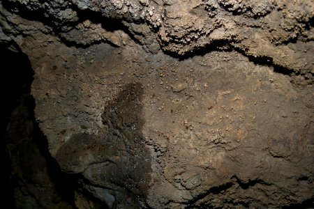 Kastenberghöhle (A 153) 23