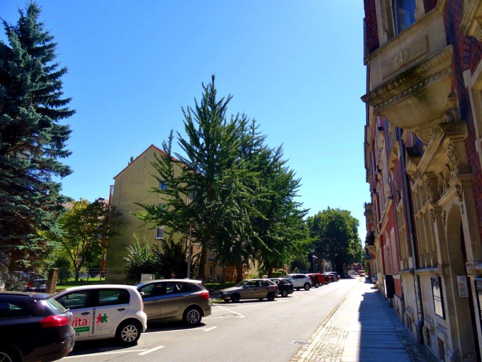 Karl-Liebknechtstraße, Pirna DSC05441