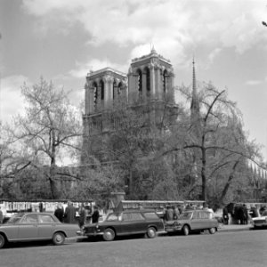 Kathedraal Notre-Dame, met op de voorgrond de stalletjes op de kades van de Sein, Bestanddeelnr 254-0452