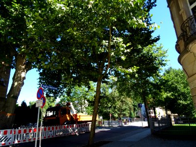 Karl-Liebknechtstraße, Pirna DSC05494
