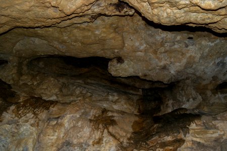 Kastenberghöhle (A 153) 58