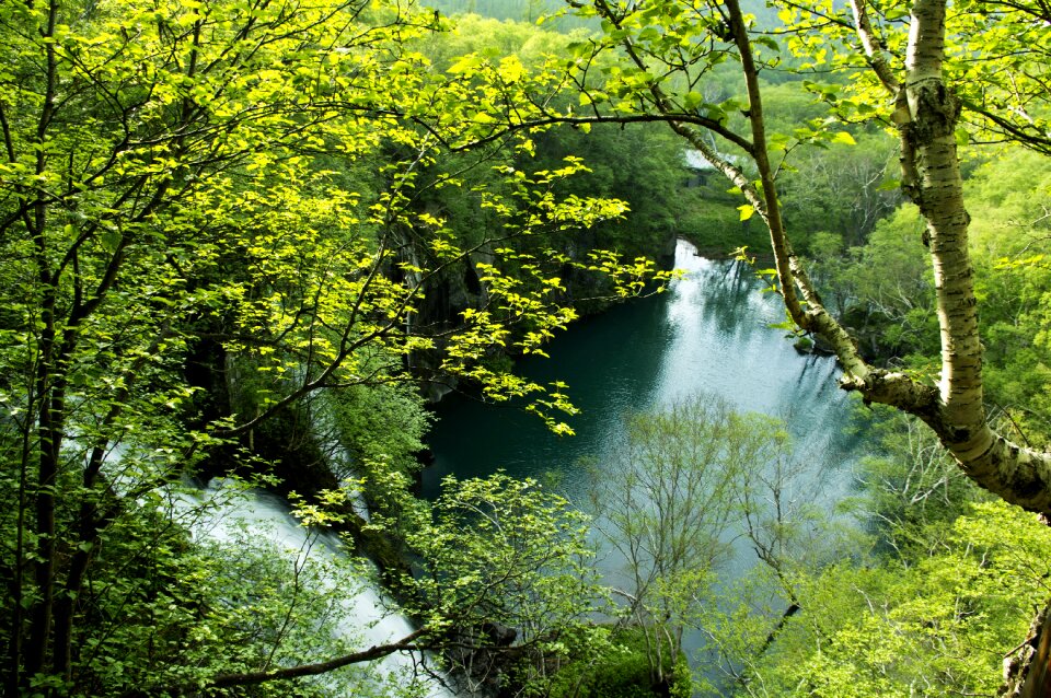 Green deep lake green water aoyama