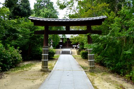 Katanoamatsukami-no-yashiro, torii-2